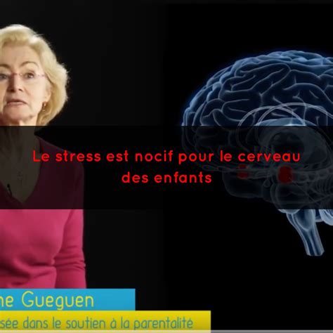 «Cest ultra nocif pour le cerveau» : la